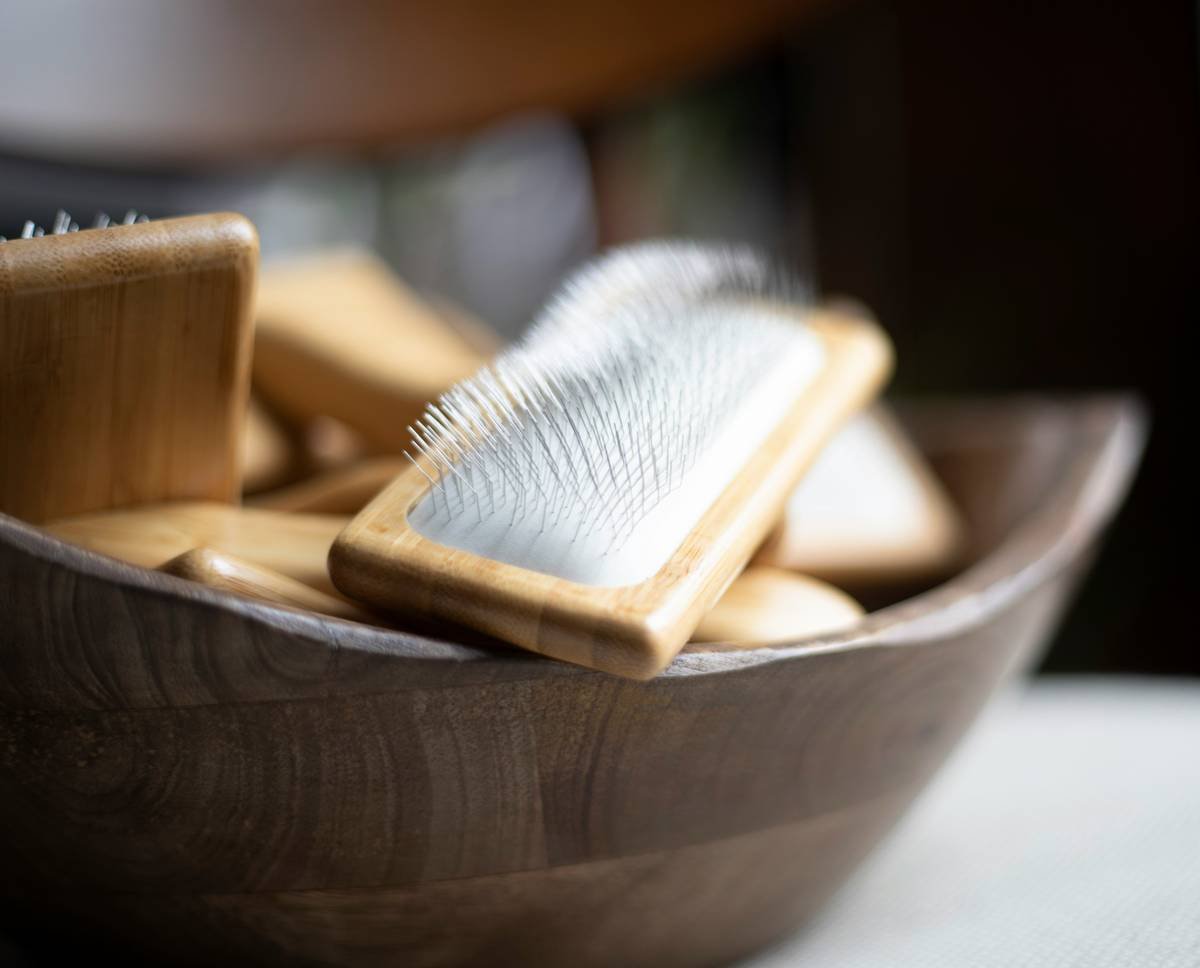 Infographic comparing key ingredients in premium vs. drugstore shaving soaps: glycerin, tallow, shea butter vs. sodium lauryl sulfate and propylene glycol